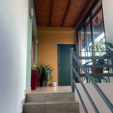 בראט Vila Ajdinaj מראה חיצוני תמונה